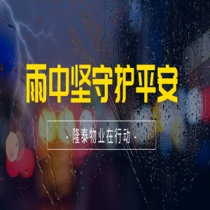 筑牢安全防線(xiàn) | 隆泰物業(yè)全力開(kāi)展防汛工作