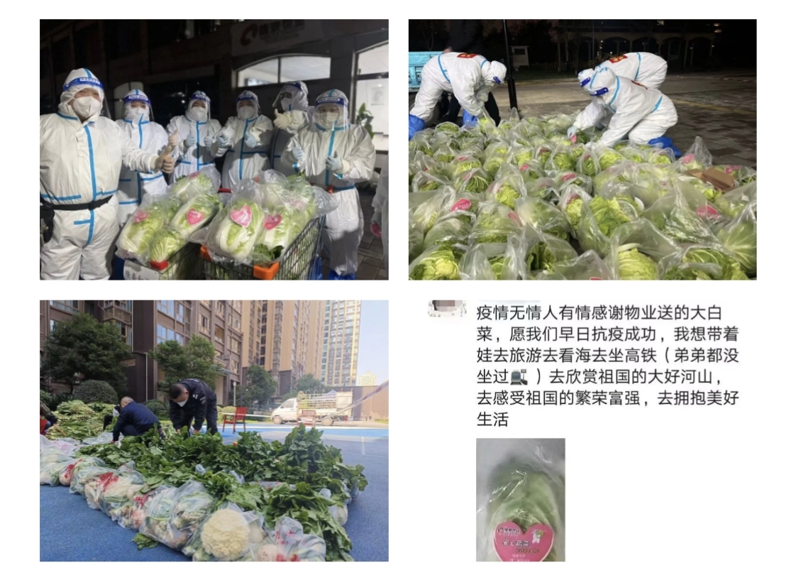 愛就一個字，我們對你說N次...(圖5)